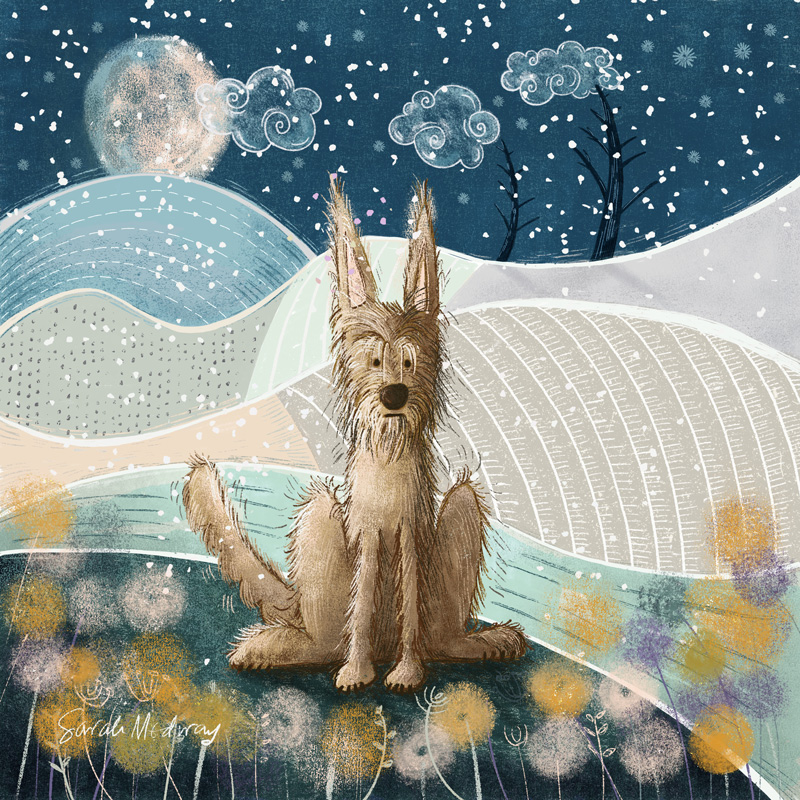 Berger Picard dog greeting card illustration by Sarah Medway