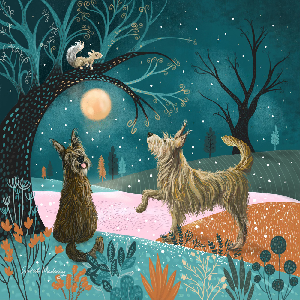 Berger Picard dogs illustration inspired by companion animals by Sarah Medway