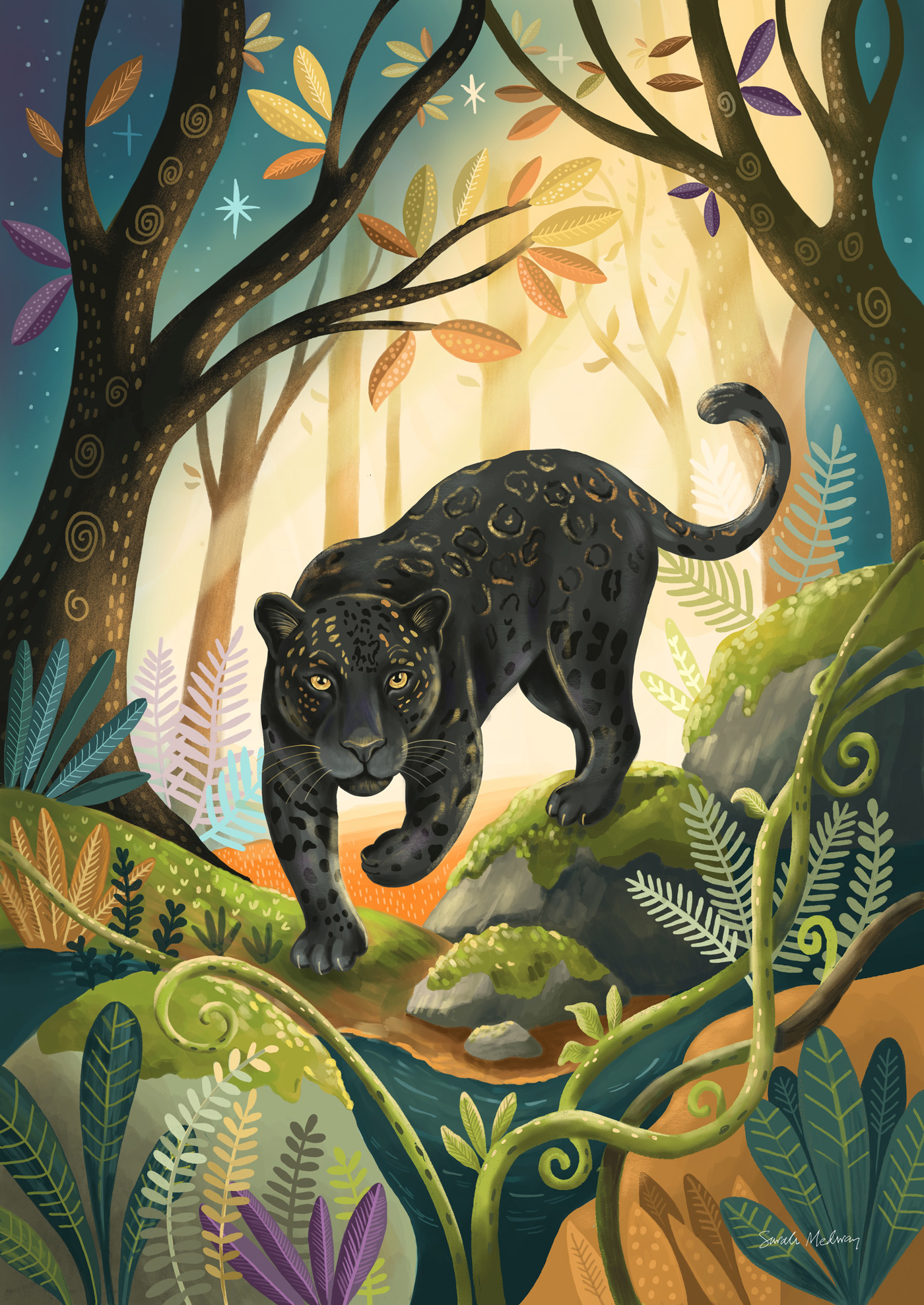 Black jaguar wildlife illustration by UK artist Sarah Medway