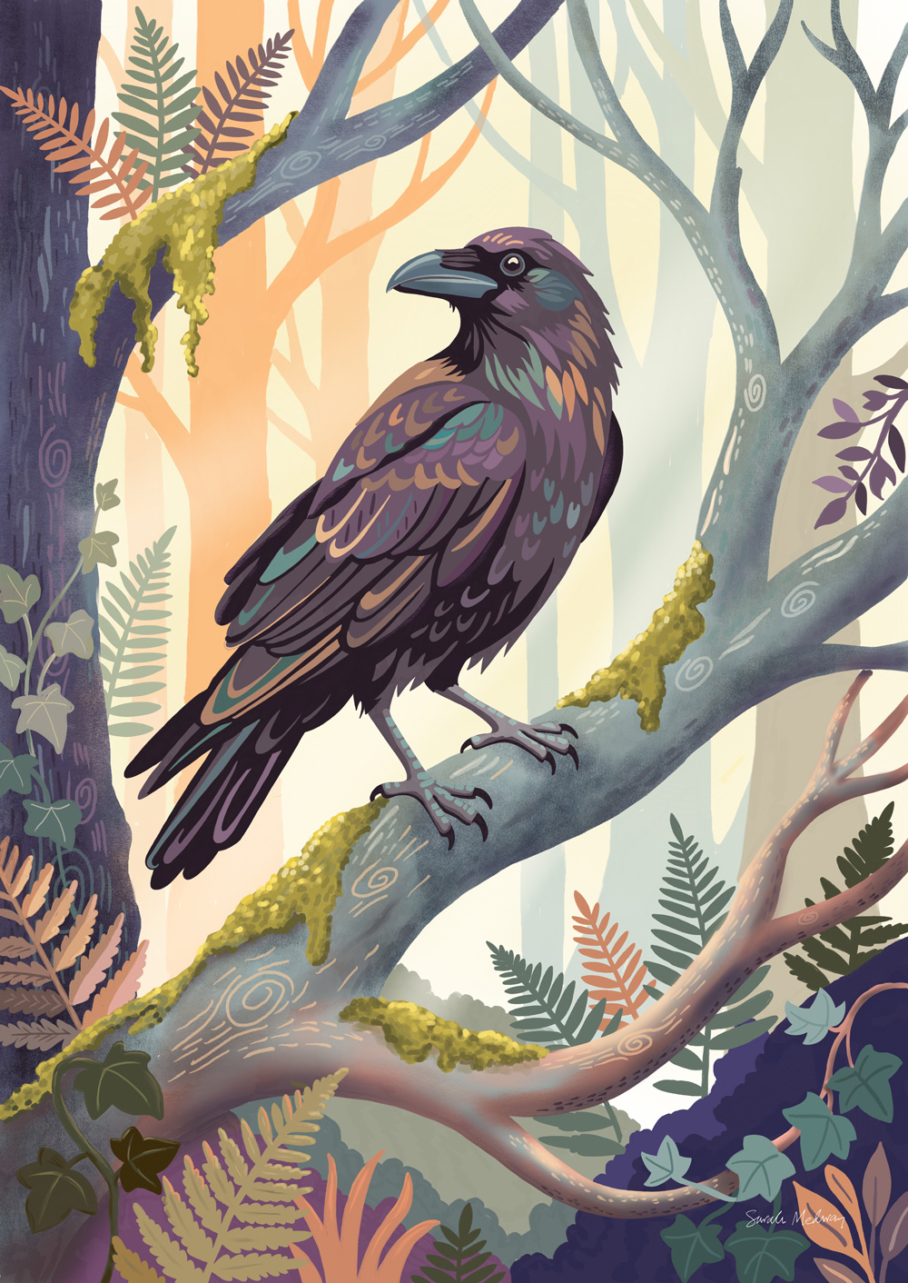 Raven bird illustration in woodland setting by Sarah Medway