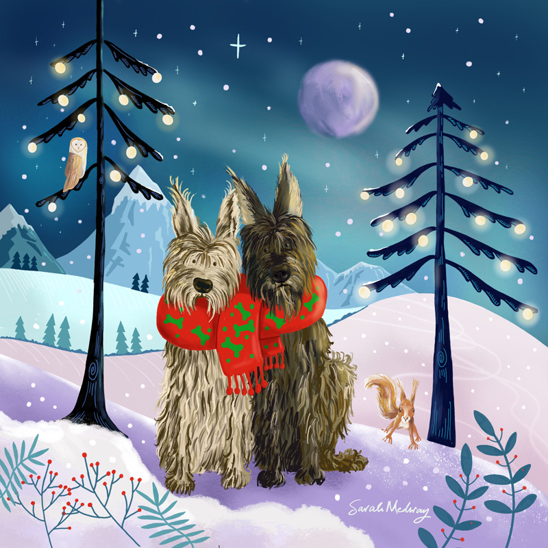 Berger Picard dogs illustration in snowy woodland by Sarah Medway